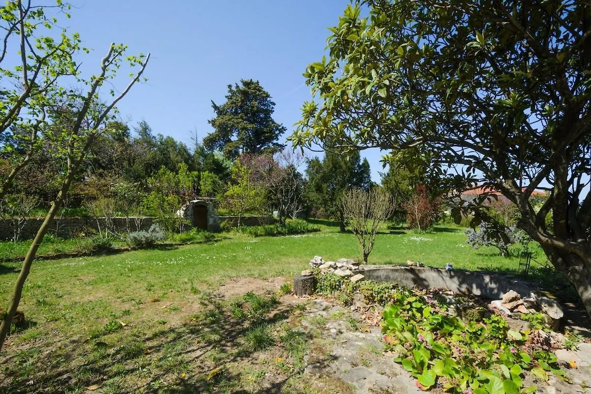 Tres Bel Hotel Particulier En Plein Coeur De Village Étoile-sur-Rhône Hébergement de vacances